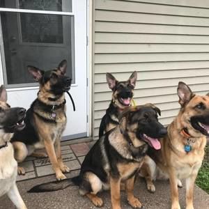 Meet your Posher, Denise